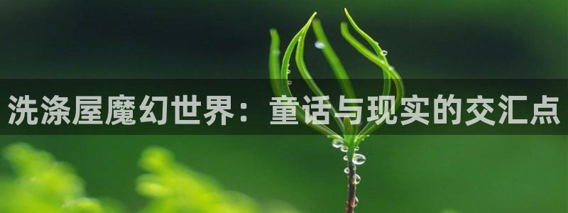 火狼动漫网动漫