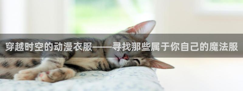 火狼动漫网日本动漫