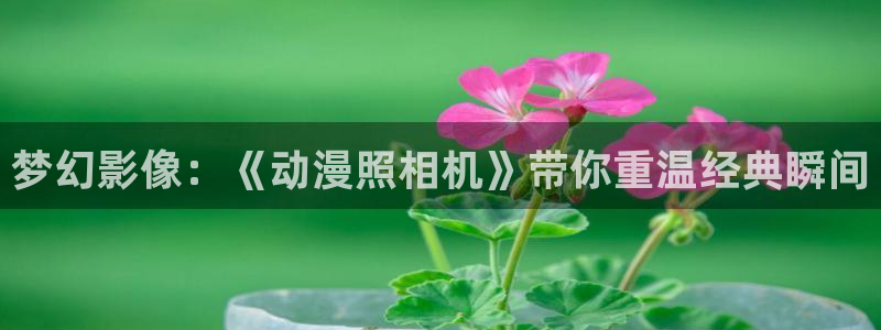 火狼动漫官网pro
