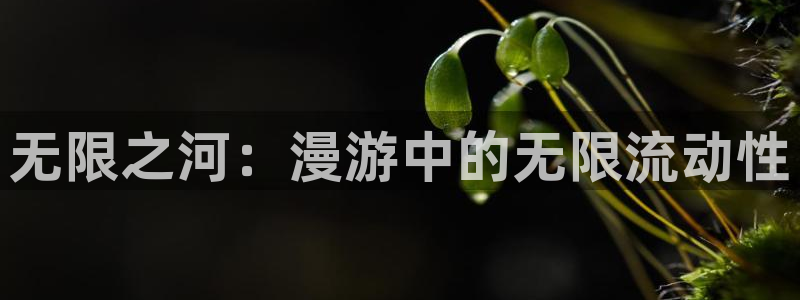 火狼动漫在线观看动漫：无限之河：漫游中的无限流动性