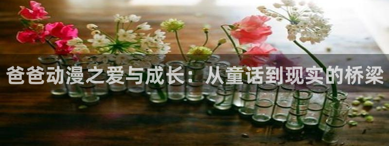 圣华女学院火狼动漫：爸爸动漫之爱与成长：从童话到现实的桥梁