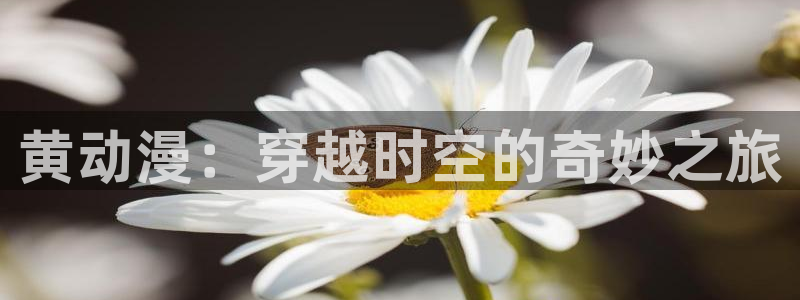 火狼动漫官网动漫观看入口：黄动漫：穿越时空的奇妙之旅